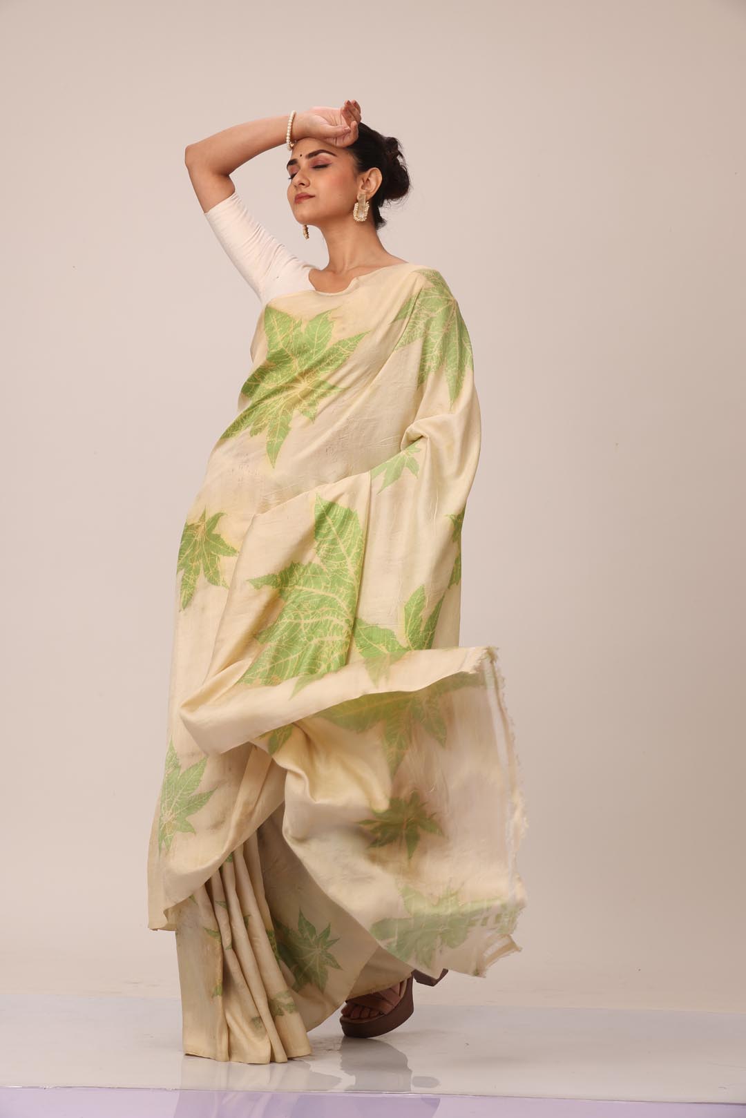 Dhanshiri
